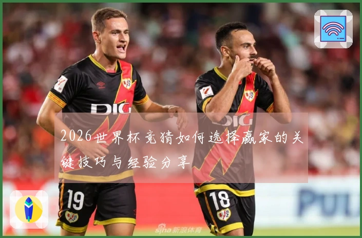 2026世界杯竞猜如何选择赢家的关键技巧与经验分享