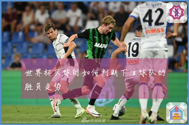 世界杯买球时如何判断下注球队的胜负走势