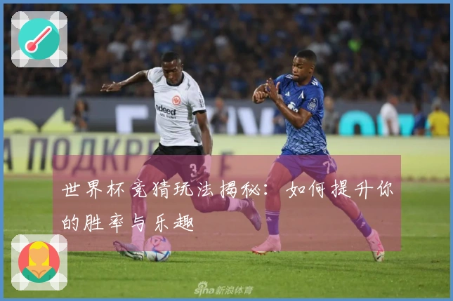 世界杯竞猜玩法揭秘：如何提升你的胜率与乐趣